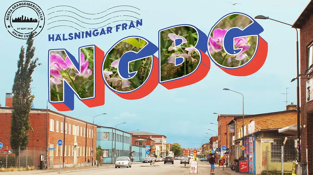 NGBG-logo